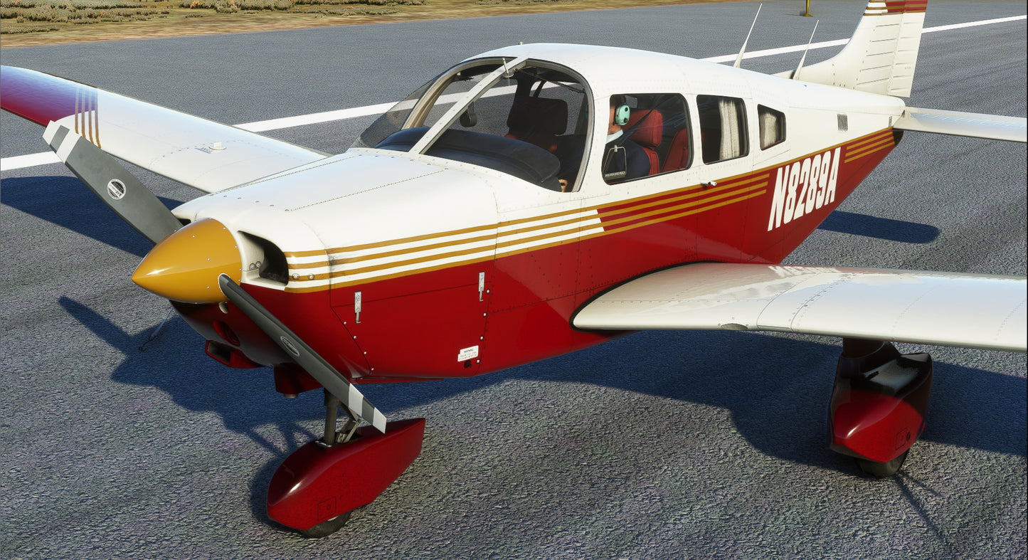 PA-28-161 WARRIOR II (MSFS)