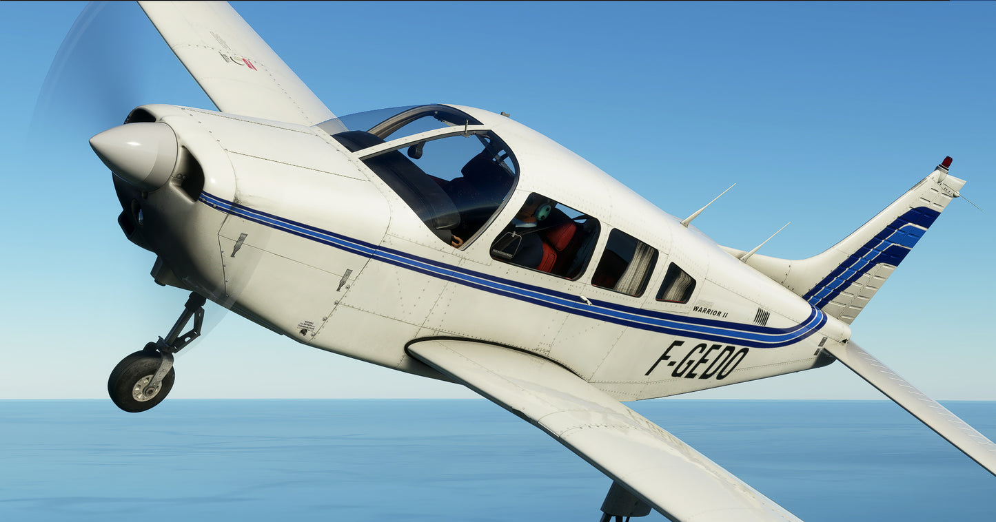 PA-28-161 WARRIOR II (MSFS)