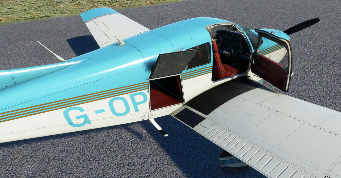 PA-28-161 WARRIOR II (MSFS)