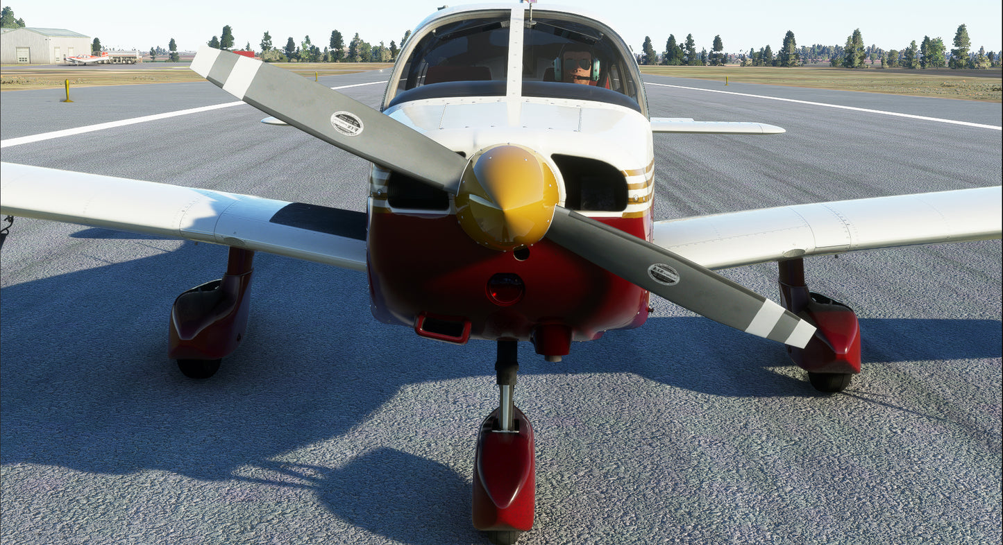 PA-28-161 WARRIOR II (MSFS)