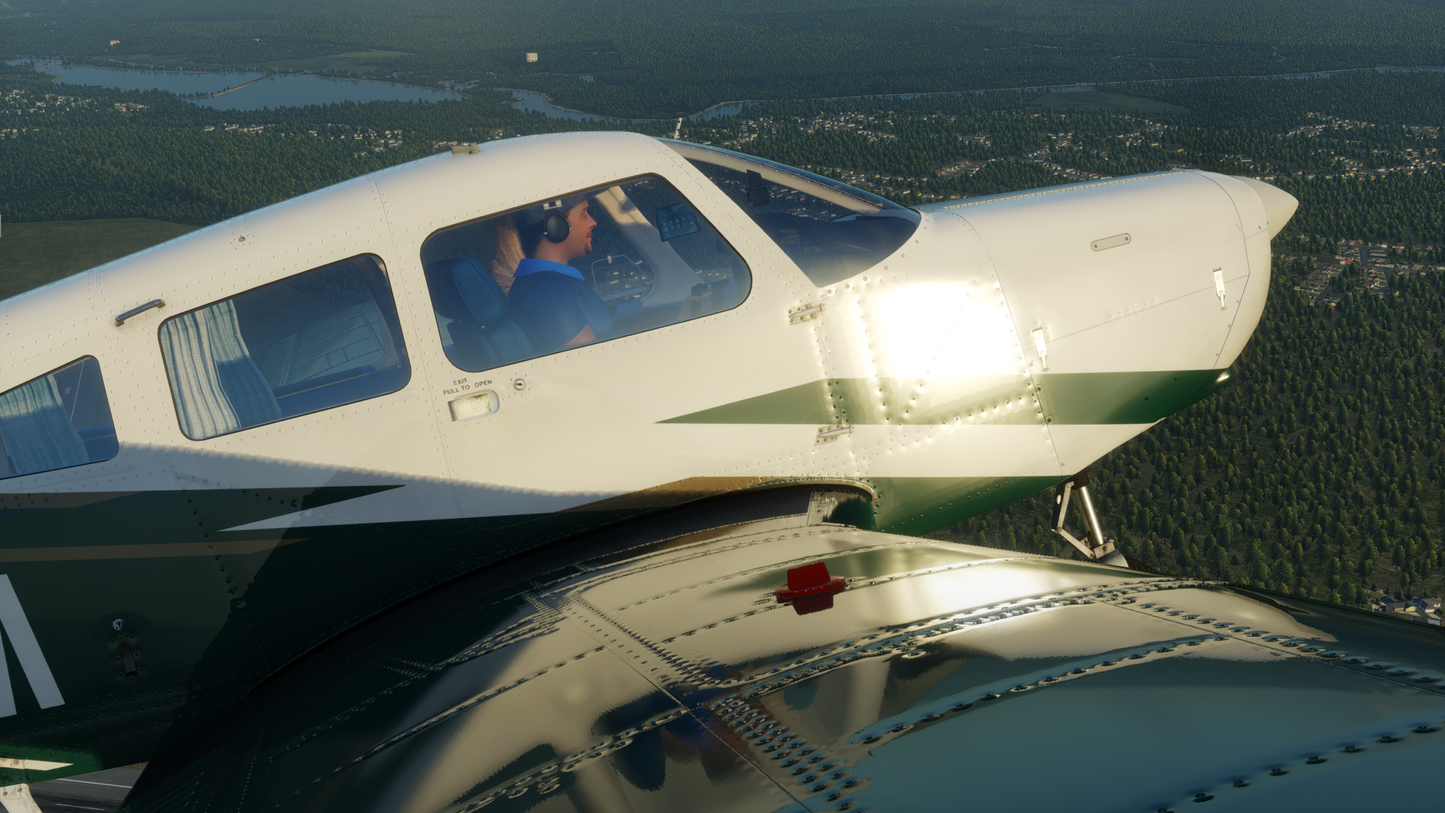 PA-28-161 Warrior II XP12