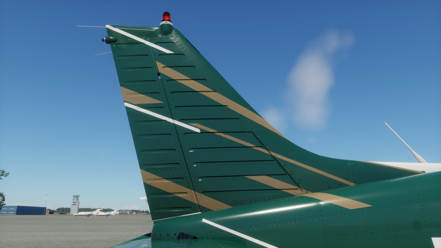 PA-28-161 Warrior II XP12